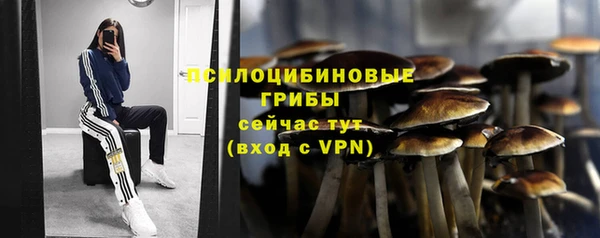 ECSTASY Алексин