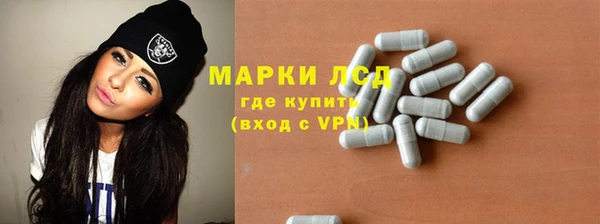 стаф Аркадак