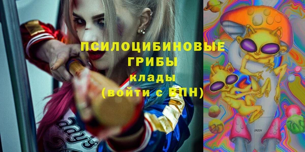 МДПВ Алексеевка