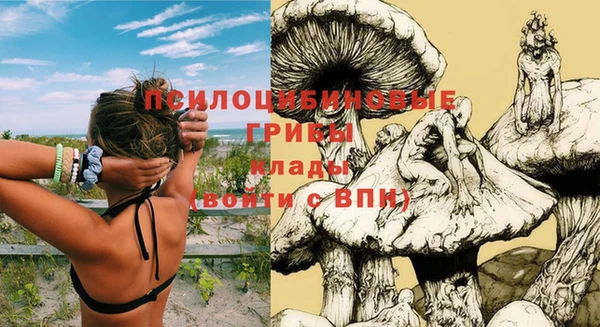 МДПВ Алексеевка