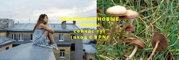 МДПВ Алексеевка