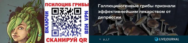Галлюциногенные грибы Cubensis  цена наркотик  MEGA ТОР  Тайшет 